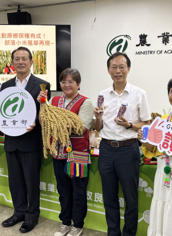 保存小米多樣性! 種苗場、慈心攜手原鄉保種 四年成功繁殖178個品系