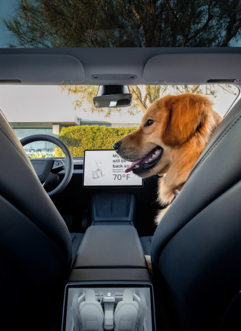 特斯拉 Tesla 在墨西哥嘗試銷售內裝更便宜的 Model 3 電動車