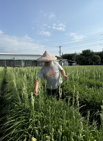 農民曝曬過度罹癌是職業病! 農民職災保險增列「紫外線暴露引發之皮膚癌」