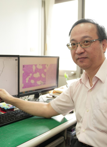 興大發現國內首例豬PCV4感染症 症狀病害程度、傳播途徑待深入研究