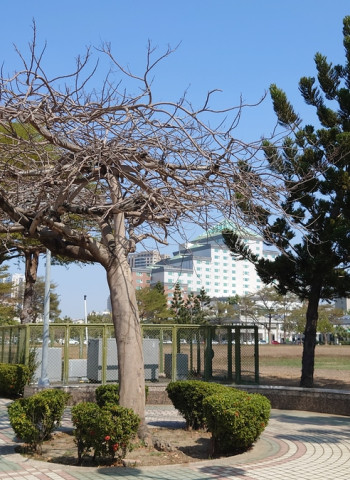 臺南安平永華市政中心周邊火熱!高雄品牌建商進駐打造新地標