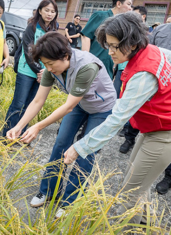 蕭美琴副總統視察臺東農損災情 關心康芮颱風後果園及稻田受損情況