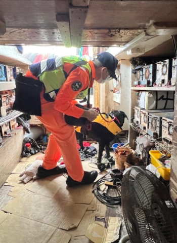 澎湖海域大掃蕩！海巡強化巡邏防止嫌犯潛逃出境