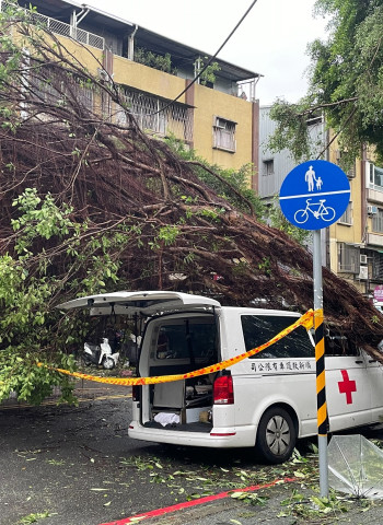 「康芮」罕見強風多處路樹應聲傾倒 專家分析四原因