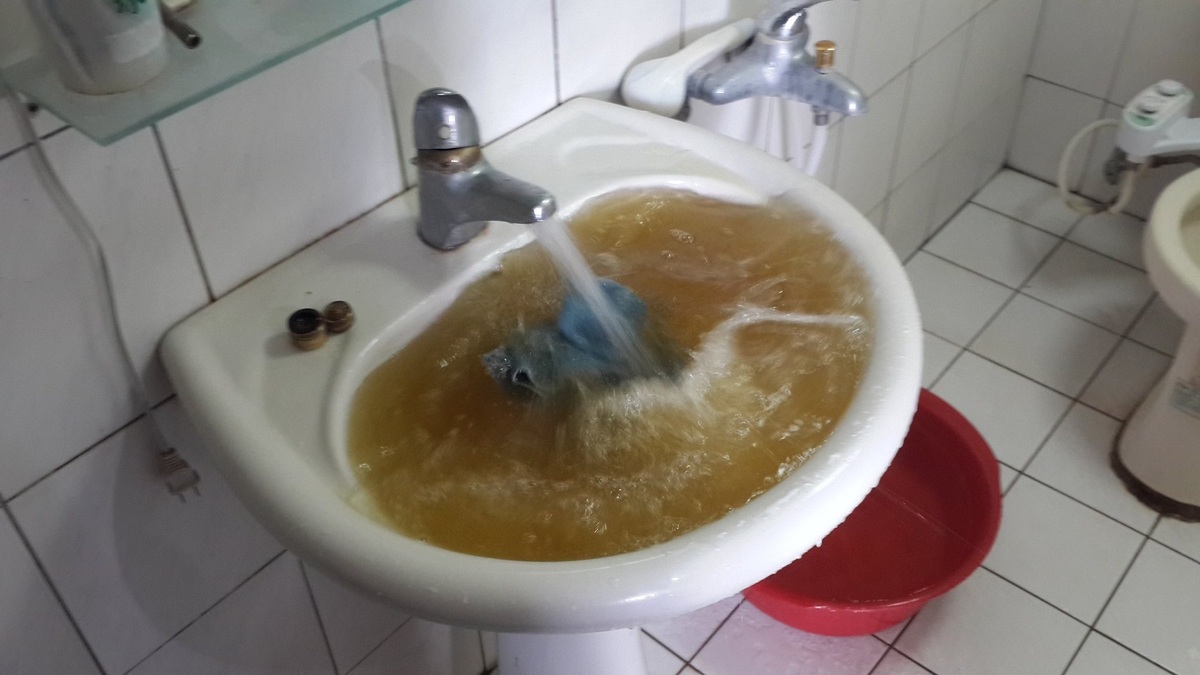 彰化洗水管推薦 水管清潔與水塔保養一次搞定 還你純淨用水