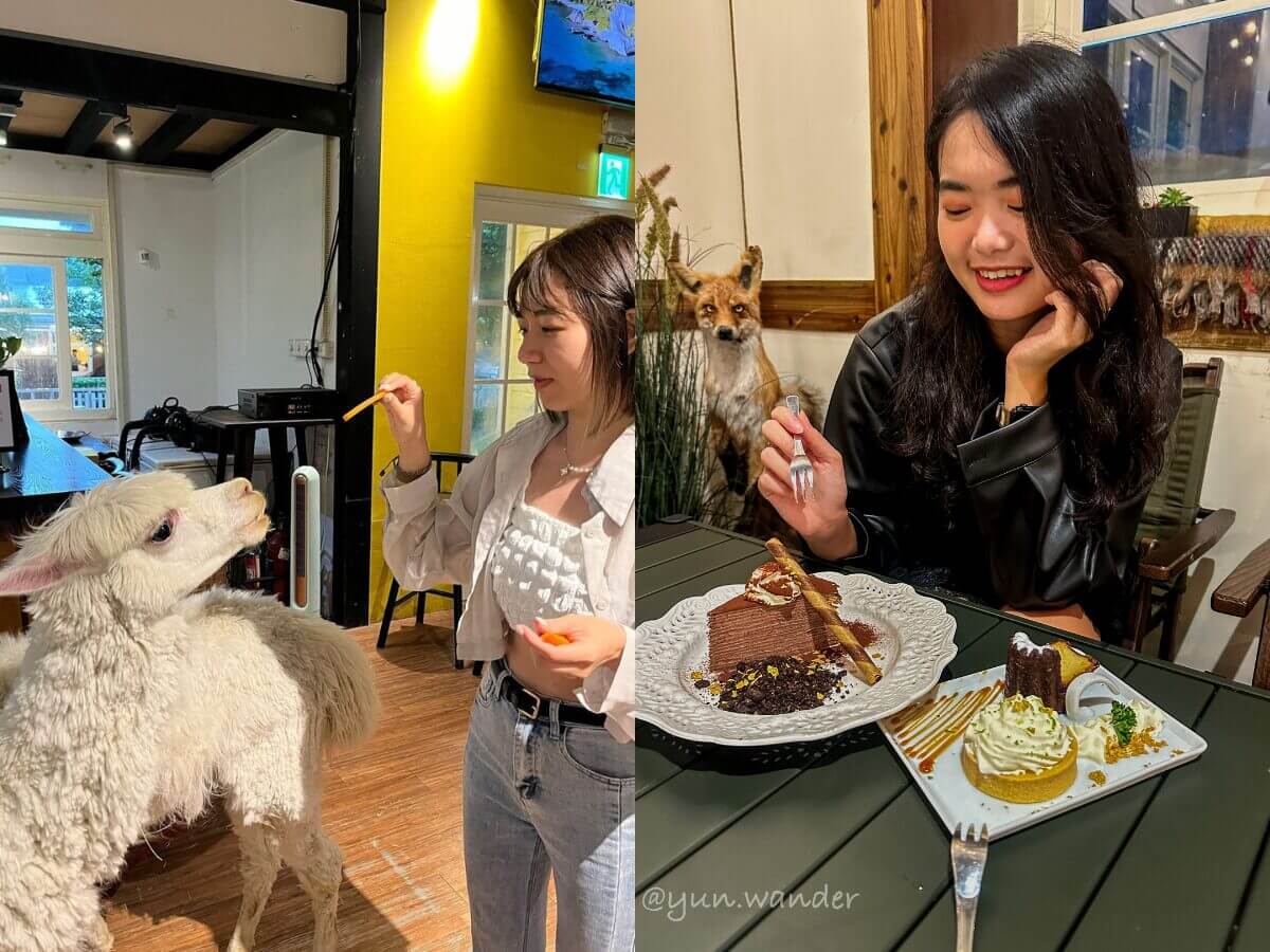 台北美食｜台北近郊秘境陽明山美國村 6 家質感餐廳 享受復古風情與美味料理