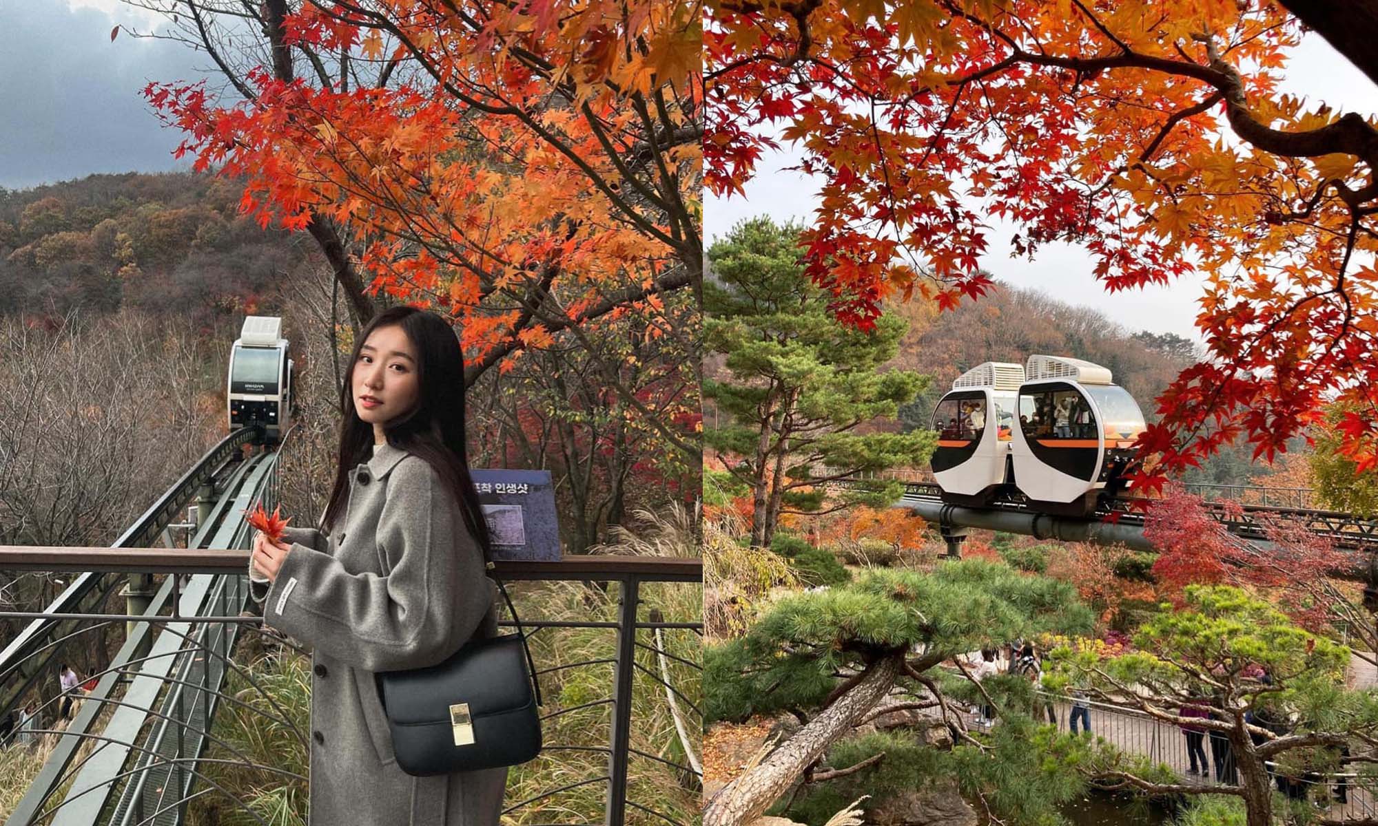 韓國景點|和談林一日遊!韓國最佳賞紅楓地點 搭單軌列車穿梭山野