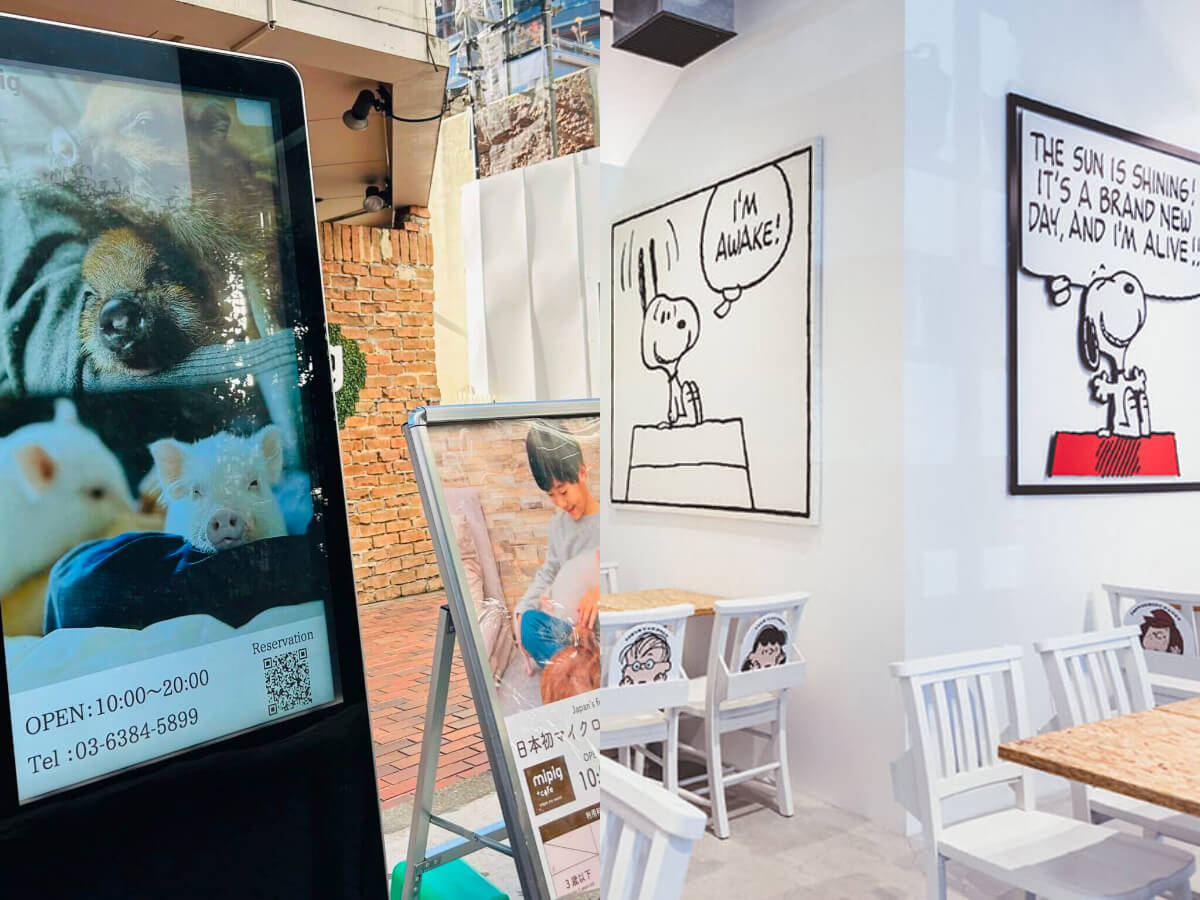 2025人氣日本咖啡廳|直擊東京最新開幕的BONTEMP、HONOLULU、史努比、PAP COFFEE等7大打卡點