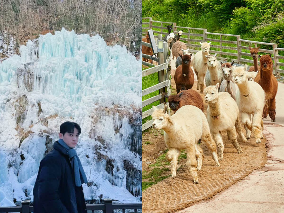韓國一日遊行程推薦|韓國自由行熱門景點 必看兩大表演一次收錄