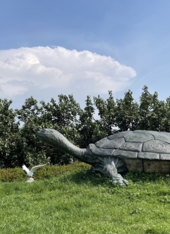 「臺中市民野餐日-跟著龜殼野餐趣」將於11月3日舉行 邀請市民共聚大安龜殼生態公園