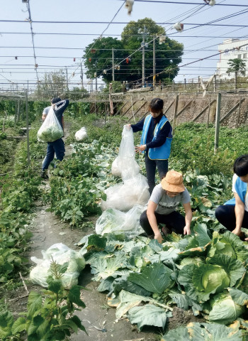 廢渣農村？那些農村裡的廢棄品、格外品與醜蔬果