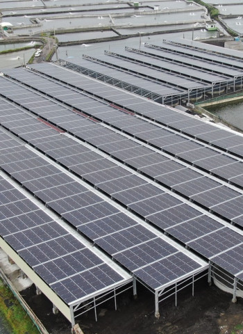 【漁電共生期中考】光電蓋了，誰會養魚？光電屋頂型室內養殖調查報告