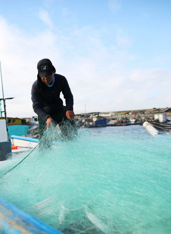 讓殺戮獵場成為永續海田 廢棄漁具的積極管理