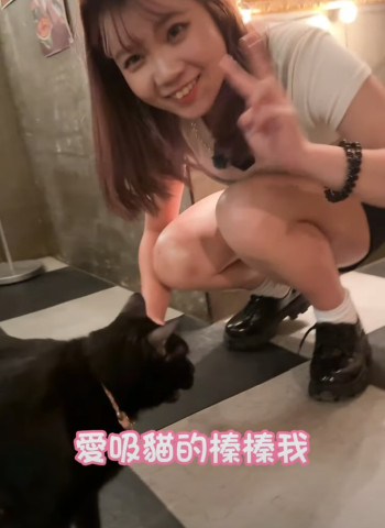 台中中區深夜咖啡廳推薦！！寵物友善！3隻店貓陪你喝咖啡！