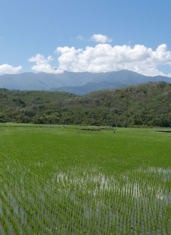 立委關注國土計畫上路農業配套政策 陳駿季：堆疊式給付200多億元 非對價關係