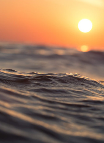 冬至越來越溫暖?氣象專家解析地球暖化對烏魚收獲量的衝擊