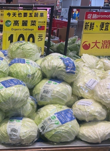 批發菜價回跌近2成 優惠專區甘藍今起全臺逾1500據點同步供應
