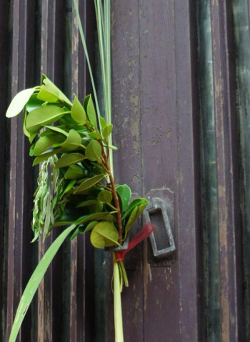 端午習俗知多少?「天中五瑞」以物剋物 讚嘆先人智慧