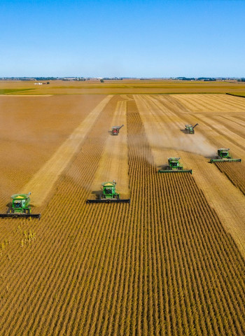基改食品將帶來革命嗎？我們仍須明瞭風險