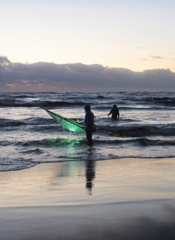 鰻苗捕撈季11月起跑! 中下旬首批到臺灣 專家推估今年東亞漁獲總量優於平均