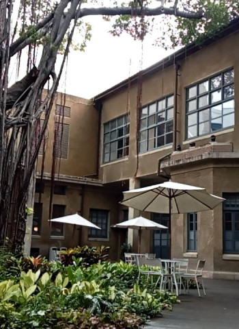 【獻曝】曾經搞掉三位警察局長 最強老榕樹都市傳說