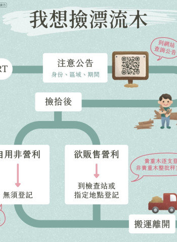 凱米颱風過境後屏東縣指定區域 當地居民得自由撿拾漂流木