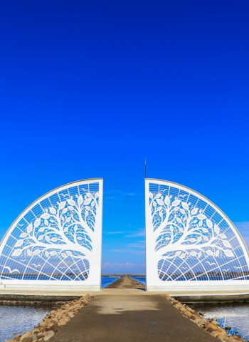 臺南去哪玩「2024濱海韶光季」活動亮點大公開 從熱氣球到市集美食全都在這裡!