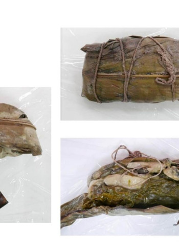 臺東蝸牛小米粽中毒案 食餘檢體驗出劇毒農藥「有機磷托福松」