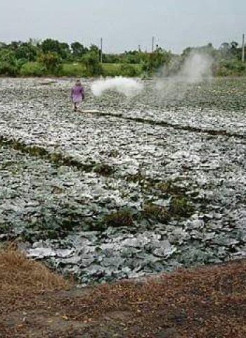 【默子-鄉居拾穗】請跟我來