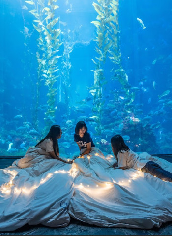 屏東海生館推中秋節夜宿優惠 體驗與魚兒共眠在湛藍的海底世界團圓