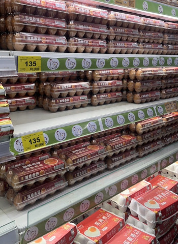 檢調偵辦雞蛋專案進口案 搜索超思、農業部等單位 農業部：配合司法調查