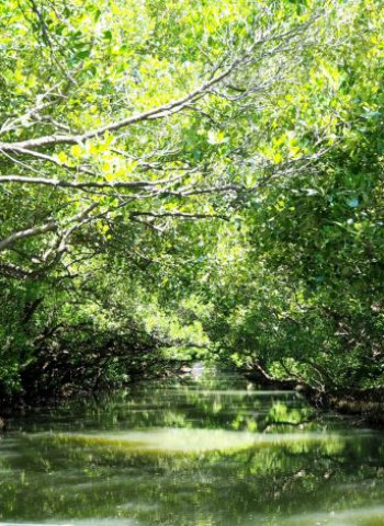 「住一晚送一晚」帶動熱潮！臺南旅遊網第一季熱搜榜出爐　高雄、臺北市民最愛來臺南