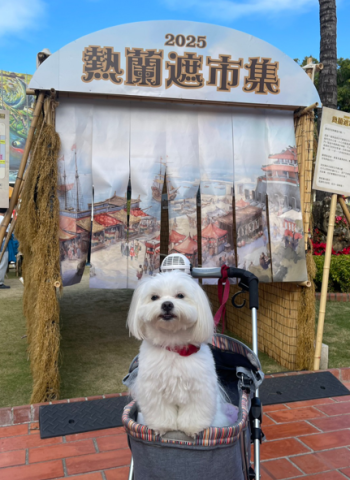 文化景點也有寵物友善！臺南寵物入園抽好禮活動開跑，帶毛寶貝一起抽大獎！