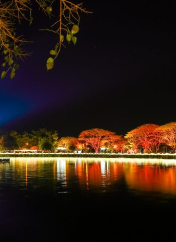 228連假攻略：把握燈會尾聲、花季含苞待放，來臺南享受漫遊之旅！