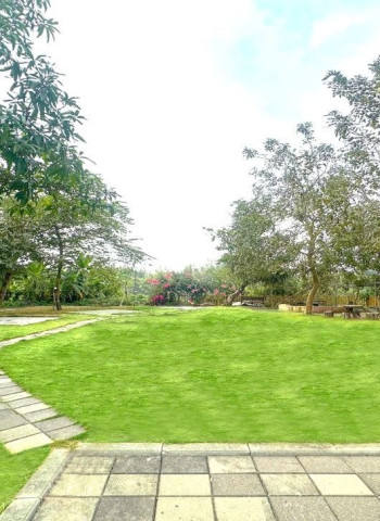 高雄社區營造計畫再創佳績！加值38公頃綠地屢獲大獎 都發局呼籲社區踴躍申請