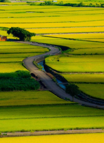 臺南釋出114年第1批市有耕地　黃偉哲市長推動青農返鄉再添助力