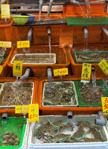 新北萬里蟹季進入尾聲 龜吼漁夫市集邀民眾把握最後品蟹機會 享受鮮甜海味