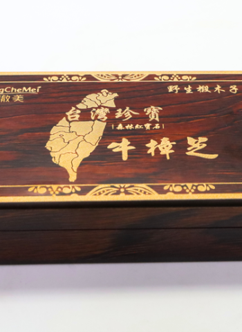 珍稀牛樟芝跨界保養！森林紅寶石能量注入日常護理 澄澈美能量綻放