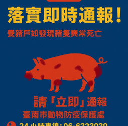 防堵非洲豬瘟入侵 臺南市啟動跨局處防疫機制 五大防線全面阻絕疫情