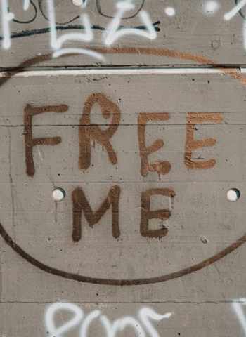 創作者必備!10 大免費圖庫網站推薦,高品質免版權素材快速下載 免費圖片下載 免費圖庫推薦