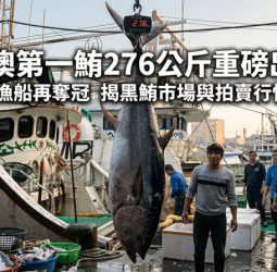 蘇澳第一鮪重磅出爐276公斤　全昌隆168號再奪冠　揭黑鮪市場與拍賣行情變化