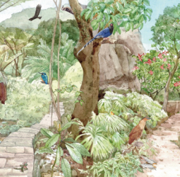 白天黑夜都精彩！臺北淺山生態摺頁揭開城市與自然共生的秘密世界