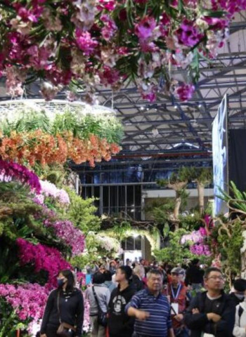 AI花海邂逅春日浪漫　2026臺灣國際蘭展串聯燈會打造婦女節蘭花賞花新體驗