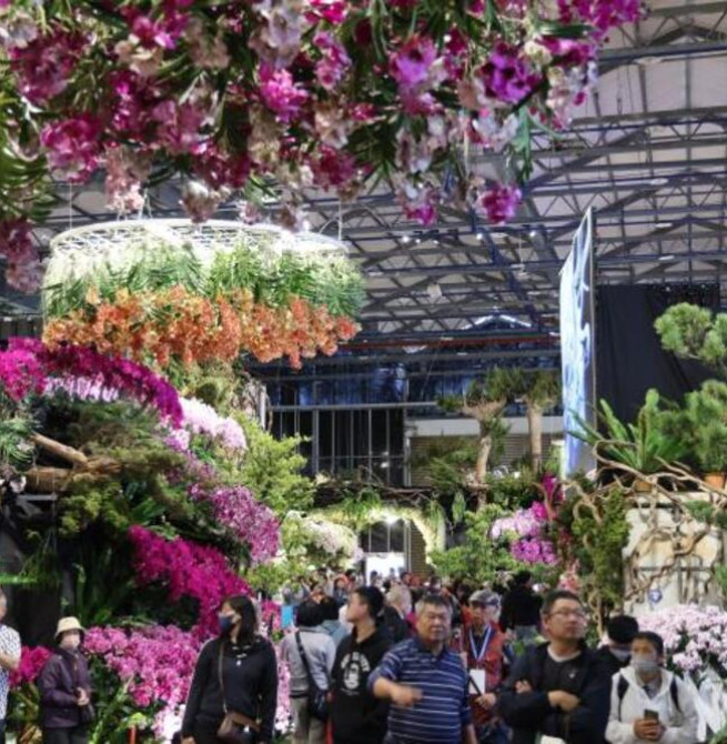 AI花海邂逅春日浪漫　2026臺灣國際蘭展串聯燈會打造婦女節蘭花賞花新體驗