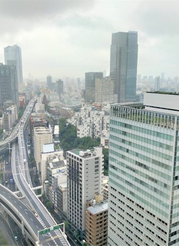 東京租車自駕必看攻略 利用ETC一點也不難 手把手入門教學首都高速進出輕鬆簡單